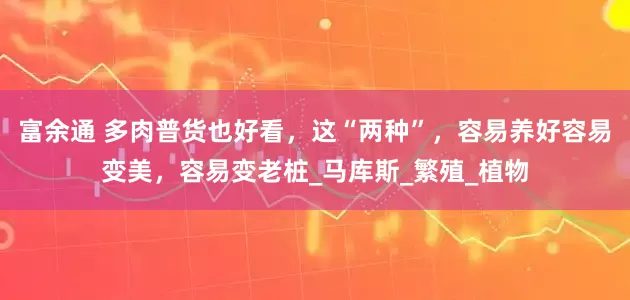 富余通 多肉普货也好看，这“两种”，容易养好容易变美，容易变老桩_马库斯_繁殖_植物