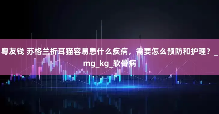 粤友钱 苏格兰折耳猫容易患什么疾病，需要怎么预防和护理？_mg_kg_软骨病