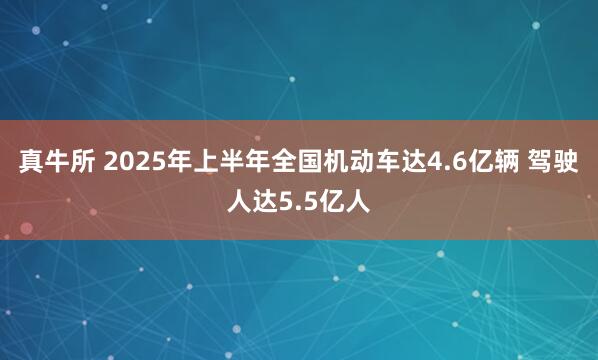真牛所 2025年上半年全国机动车达4.6亿辆 驾驶人达5.5亿人