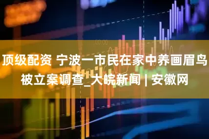 顶级配资 宁波一市民在家中养画眉鸟被立案调查_大皖新闻 | 安徽网