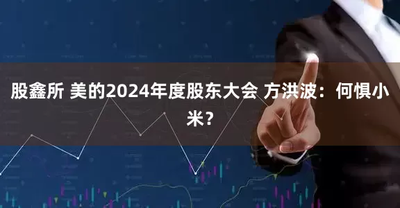 股鑫所 美的2024年度股东大会 方洪波：何惧小米？