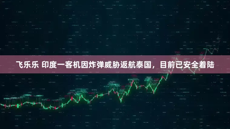 飞乐乐 印度一客机因炸弹威胁返航泰国，目前已安全着陆